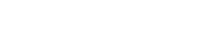 Sociedade de Revisores Oficiais de Contas (SROC)