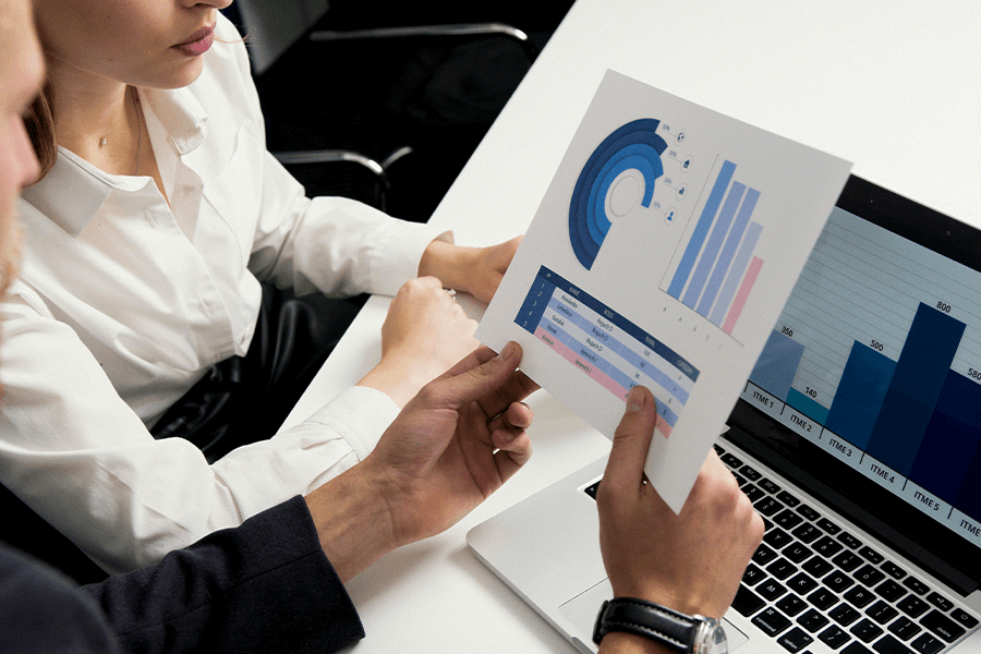 CONSULTING IN TAX AND PARAFISCAL MATTERS